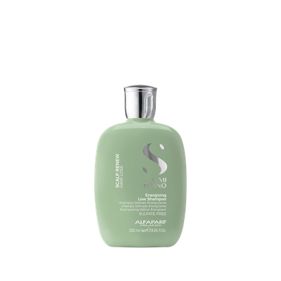 Alfaparf Scalp Balancing Grasos Shampoo 250ml