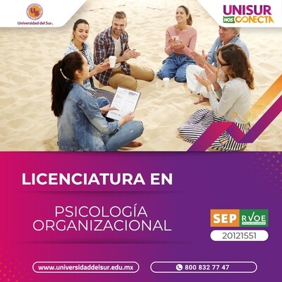 Playa Licenciatura en Psicología Organizacional