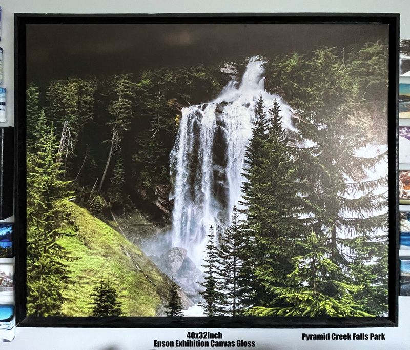 Canvas Prints
