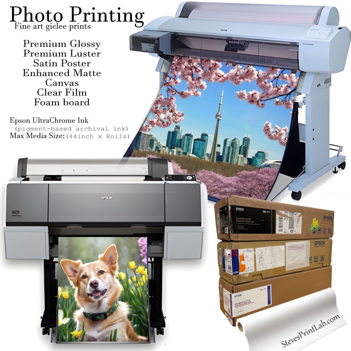 Custom Photo Printing