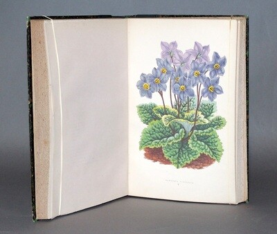 VERLOT, Bernard.- Les Plantes alpines, 1873. 50 planches en couleurs montrant les plus belles fleurs des montagnes.