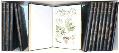 BONNIER.- Flore complète illustrée en couleurs de France, (1911-1934). Edition originale ornée de 721 planches en couleurs.
