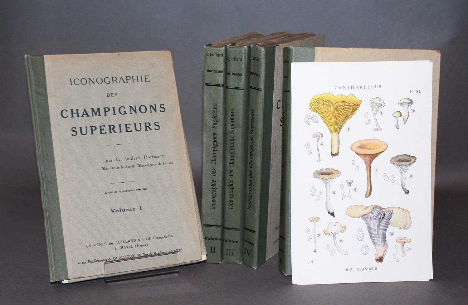 JUILLARD-HARTMANN.- Iconographie des champignons supérieurs, 1919. Édition originale ornée de 250 planches en couleurs.