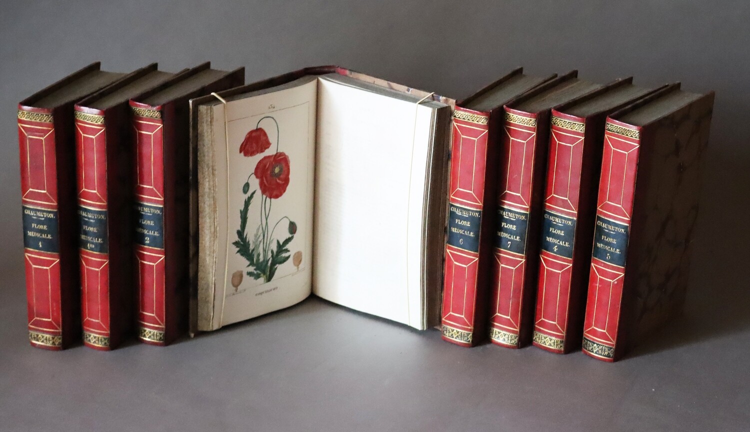 CHAUMETON. Flore médicale.- 1814-1820.- 8 volumes grand in-8, demi-veau de l'époque. Édition originale ornée de 424 planches en couleurs.