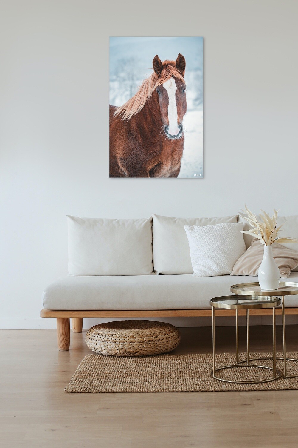 NATURE // CHEVAL EN HIVER