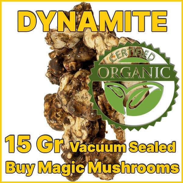 15 GRAMS - DYNAMITE - MAGIC TRUFFLES