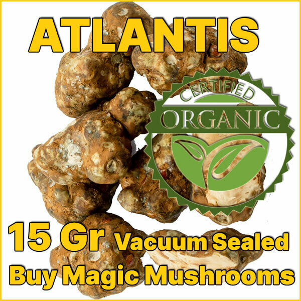 15 GRAMS - ATLANTIS - MAGIC TRUFFLES
