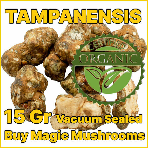 15 GRAMS - TAMPANENSIS - MAGIC TRUFFLES