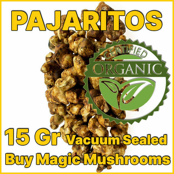 15 GRAMS - PAJARITOS - MAGIC TRUFFLES