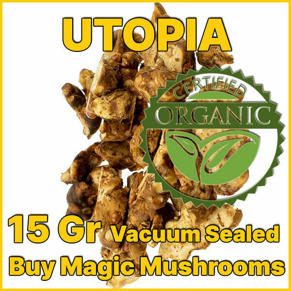 15 GRAMS - UTOPIA - MAGIC TRUFFLES