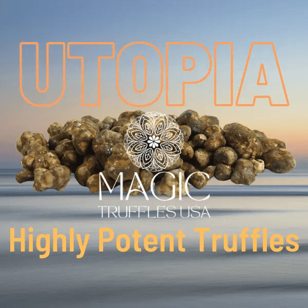 Psilocybe Utopia
