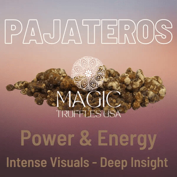 Psilocybe Pajateros