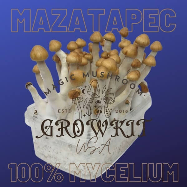 Mazatapec Magic Mushroom Grow Kit