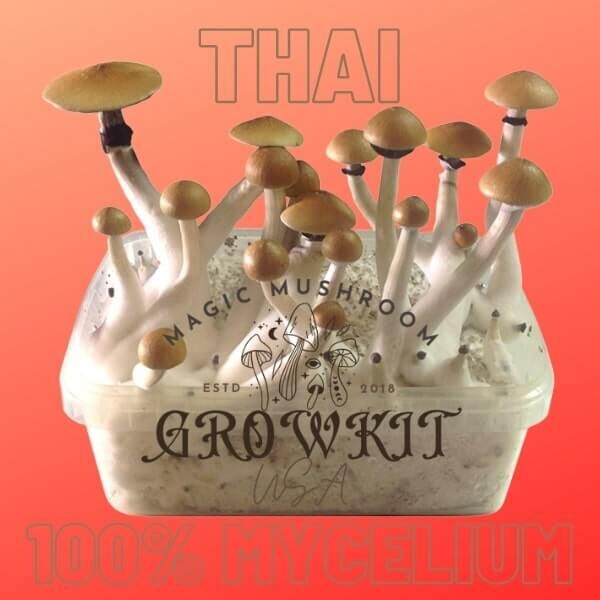 Thai Magic Mushroom Grow Kit