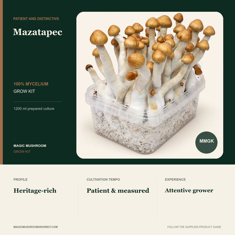 Mazatapec 100% mycelium grow kit infographic with a real fruiting kit and a patient, measured profile
