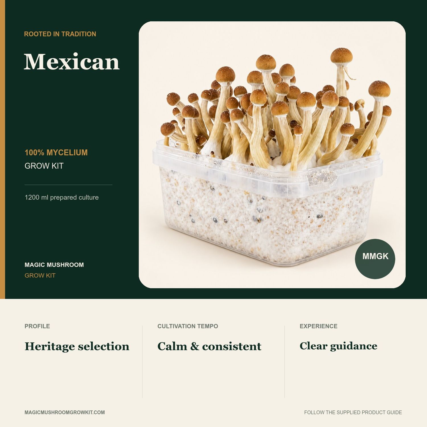 Mexican 100% mycelium grow kit infographic with a real fruiting kit, slender stems and a consistent profile