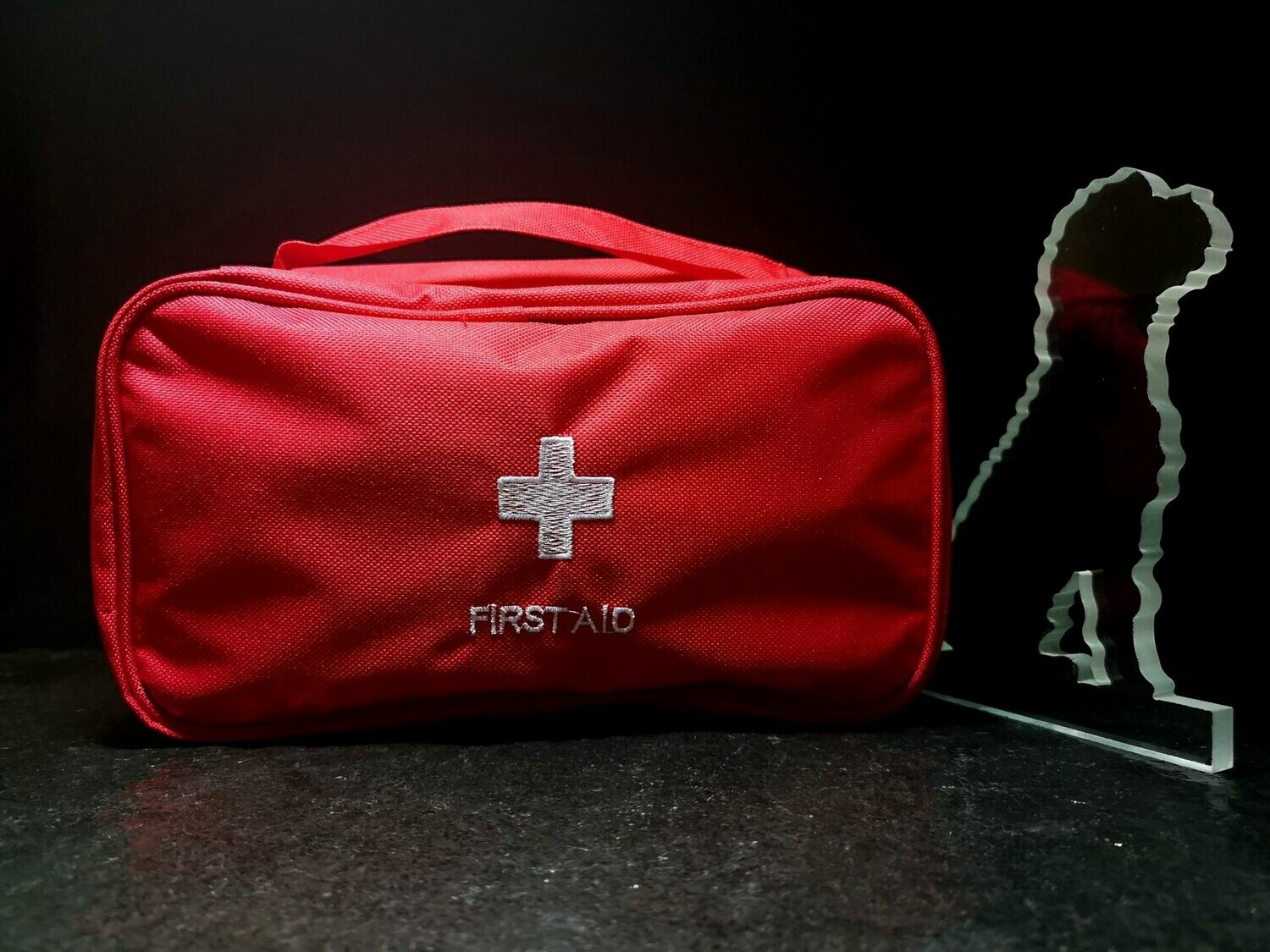 Erste Hilfe Set für Hunde (19-teilig)