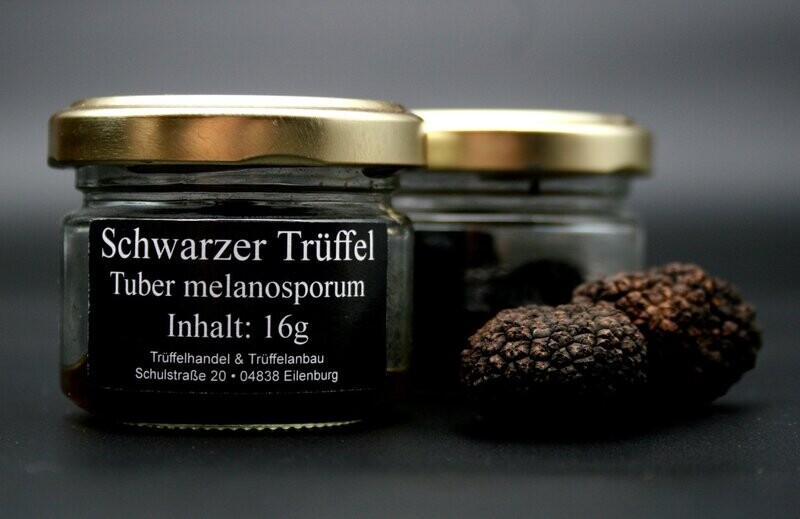 Schwarzer Trüffel Schwarzer Trüffel "Tuber brumale" oder "Tuber melansoporum"