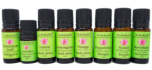 Natural Cleaning Essential Oil Kit