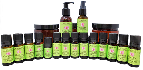 Natural Cleaning Class Kit