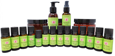 Natural Cleaning Class Kit