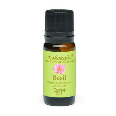 Sweet Basil Essential Oil