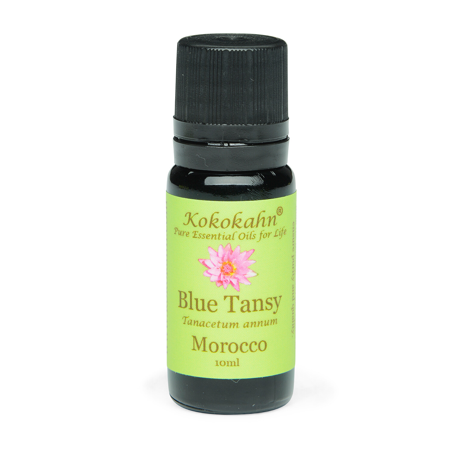 Blue Tansy Essential Oil