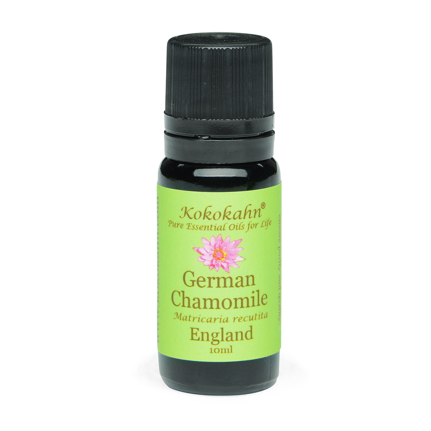 German Chamomile Essential Oil