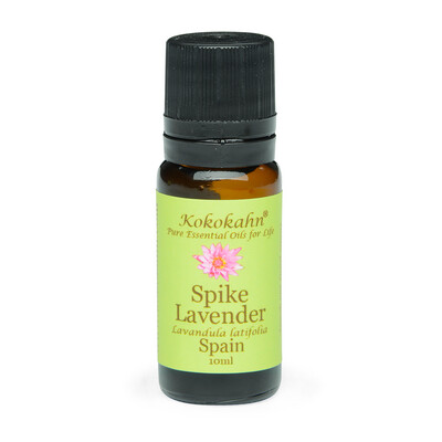 Spike Lavender Essential Oil