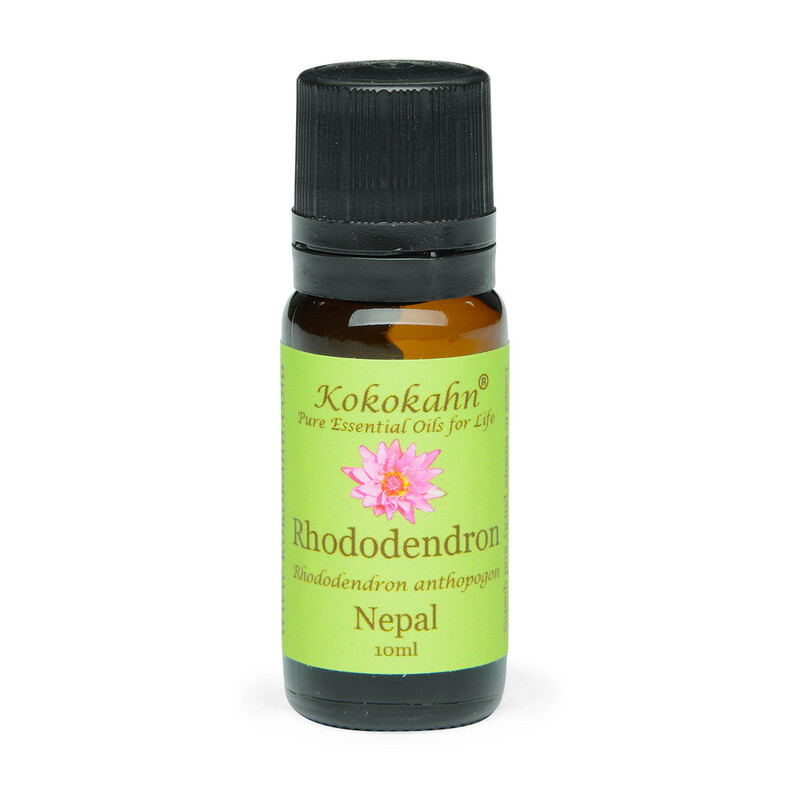 Rhododendron Essential Oil