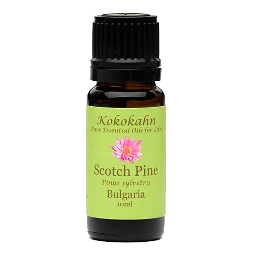 Scotch Pine Essential Oil