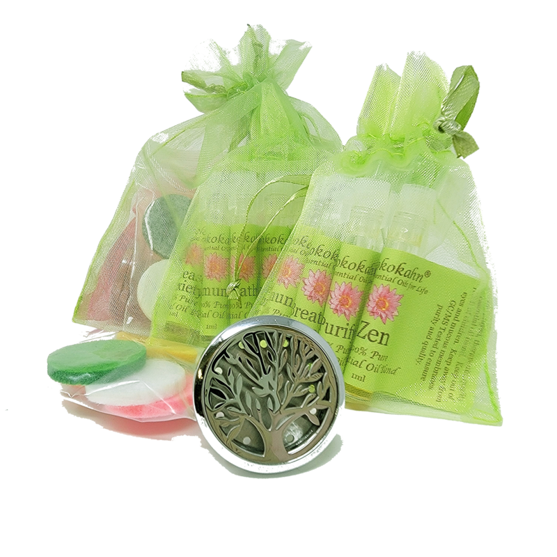 Car Vent Diffuser Gift Set