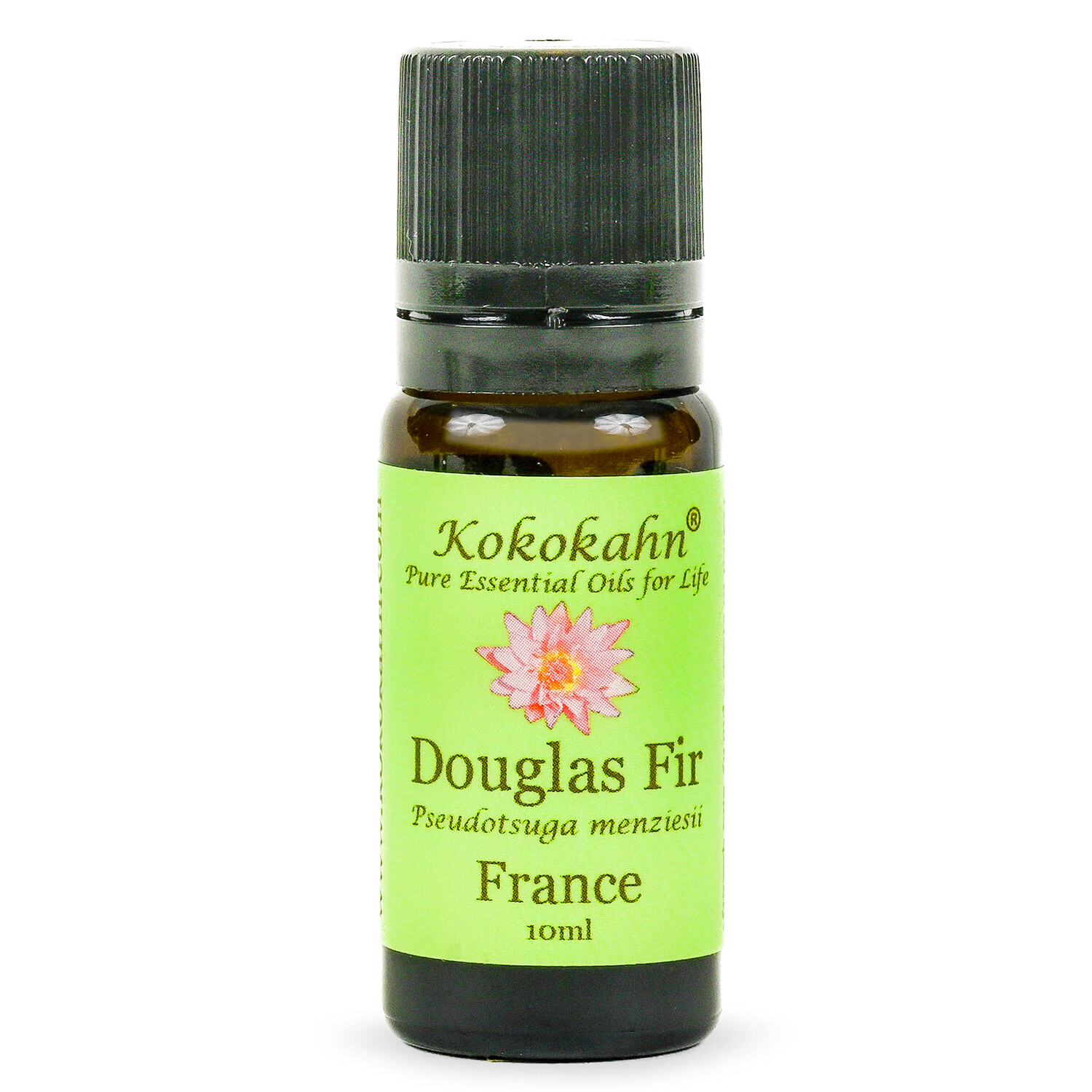 Douglas Fir Essential Oil