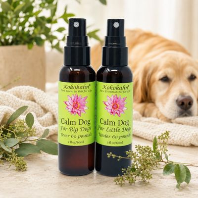 Pet Products