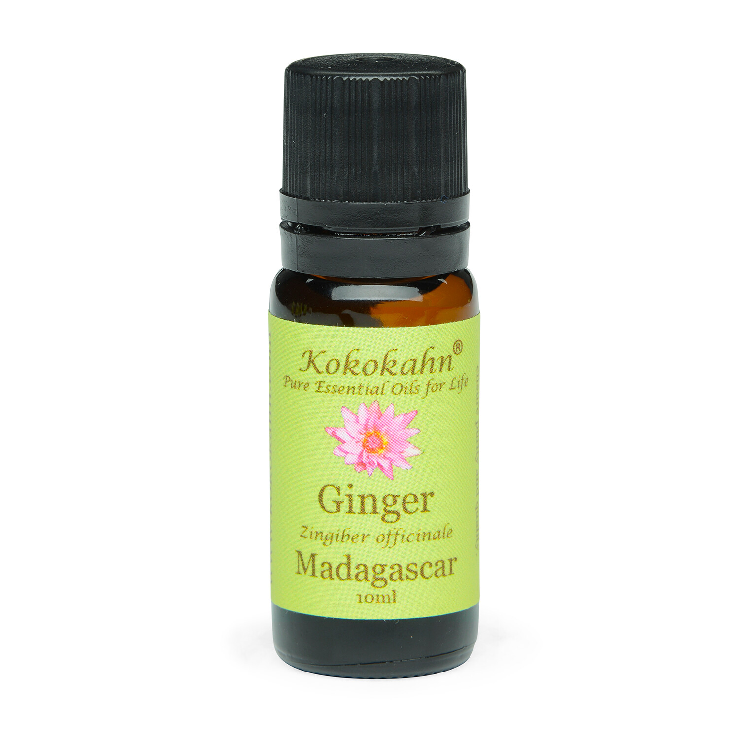 Ginger Essential Oil