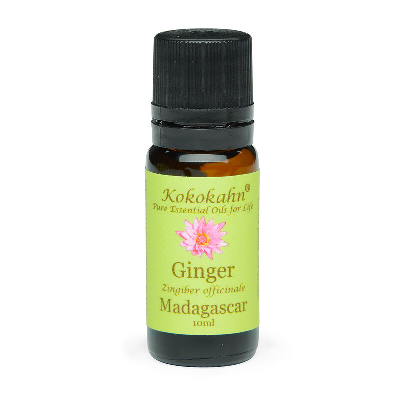 Ginger Essential Oil