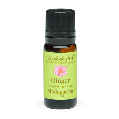 Ginger Essential Oil
