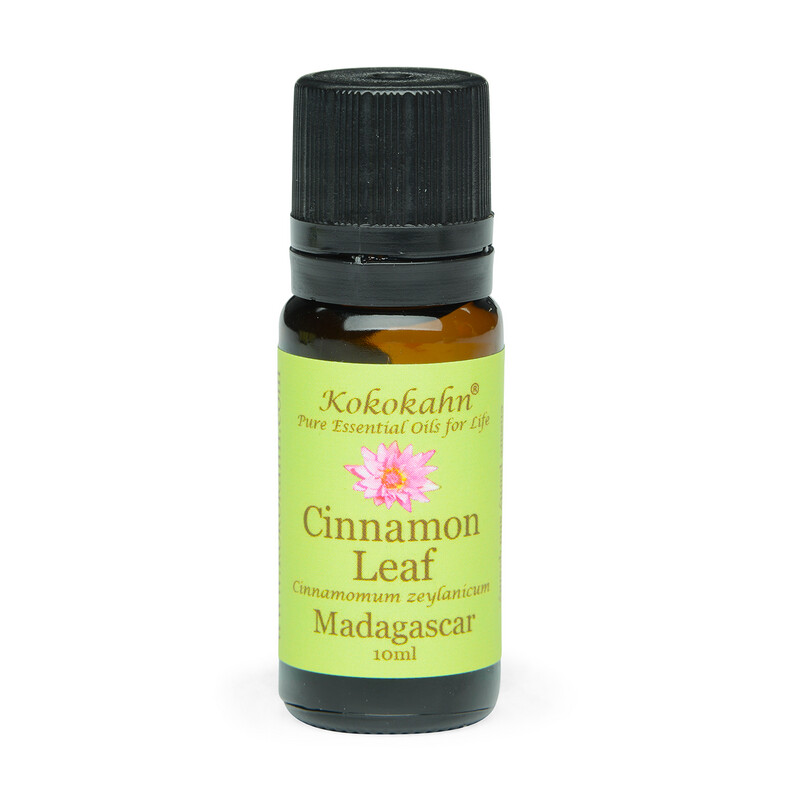 Cinnamon Leaf Essential Oil