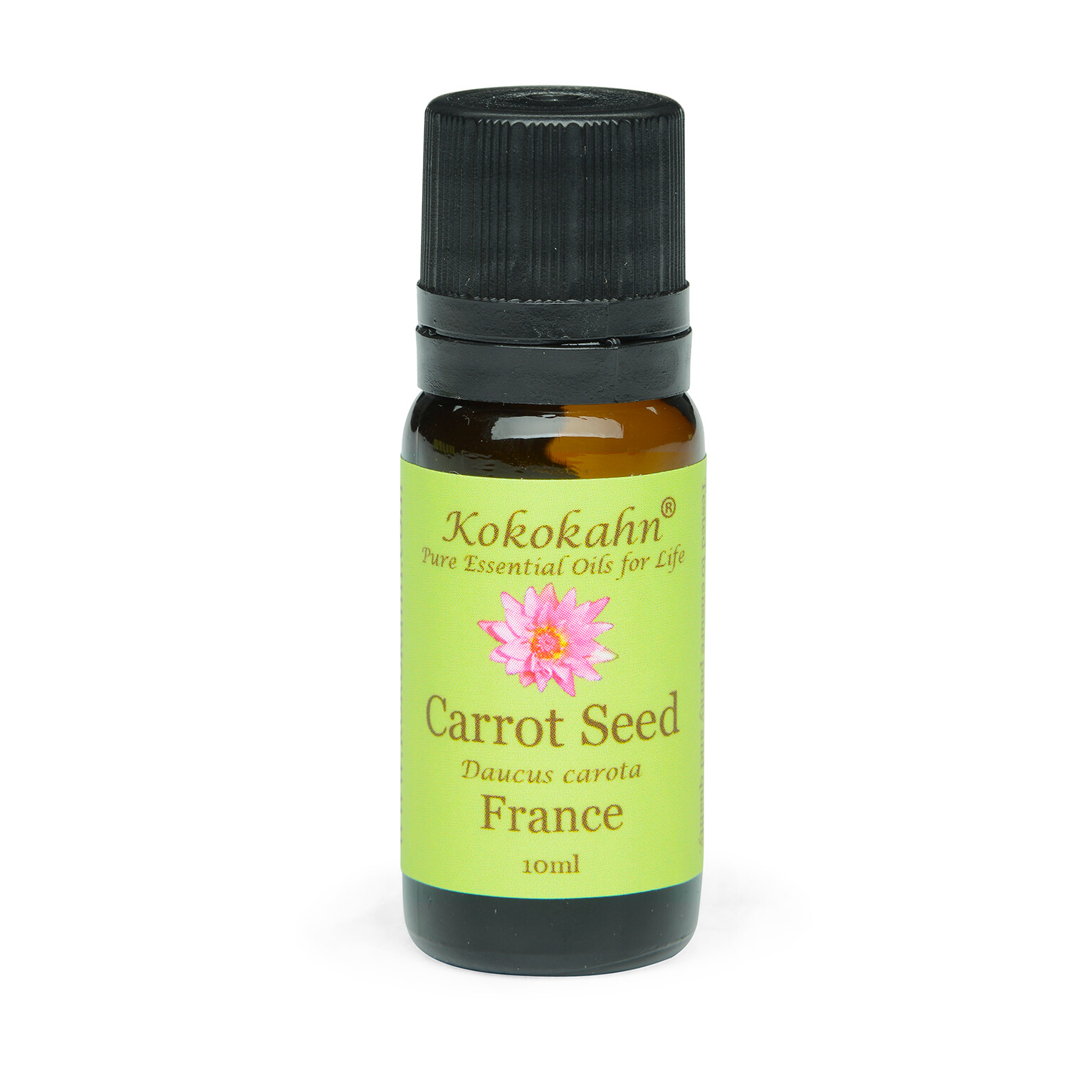 Carrot Seed Essential Oil