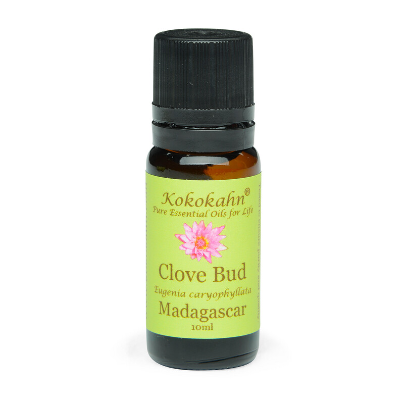Clove Bud Essential Oil