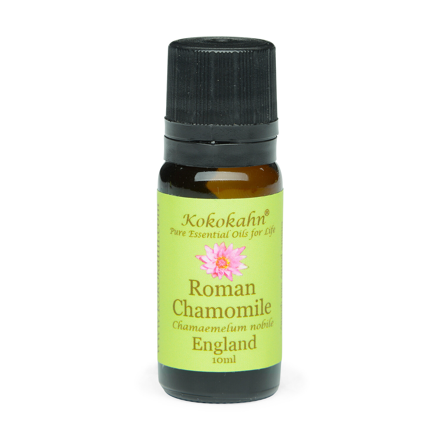 Roman Chamomile Essential Oil