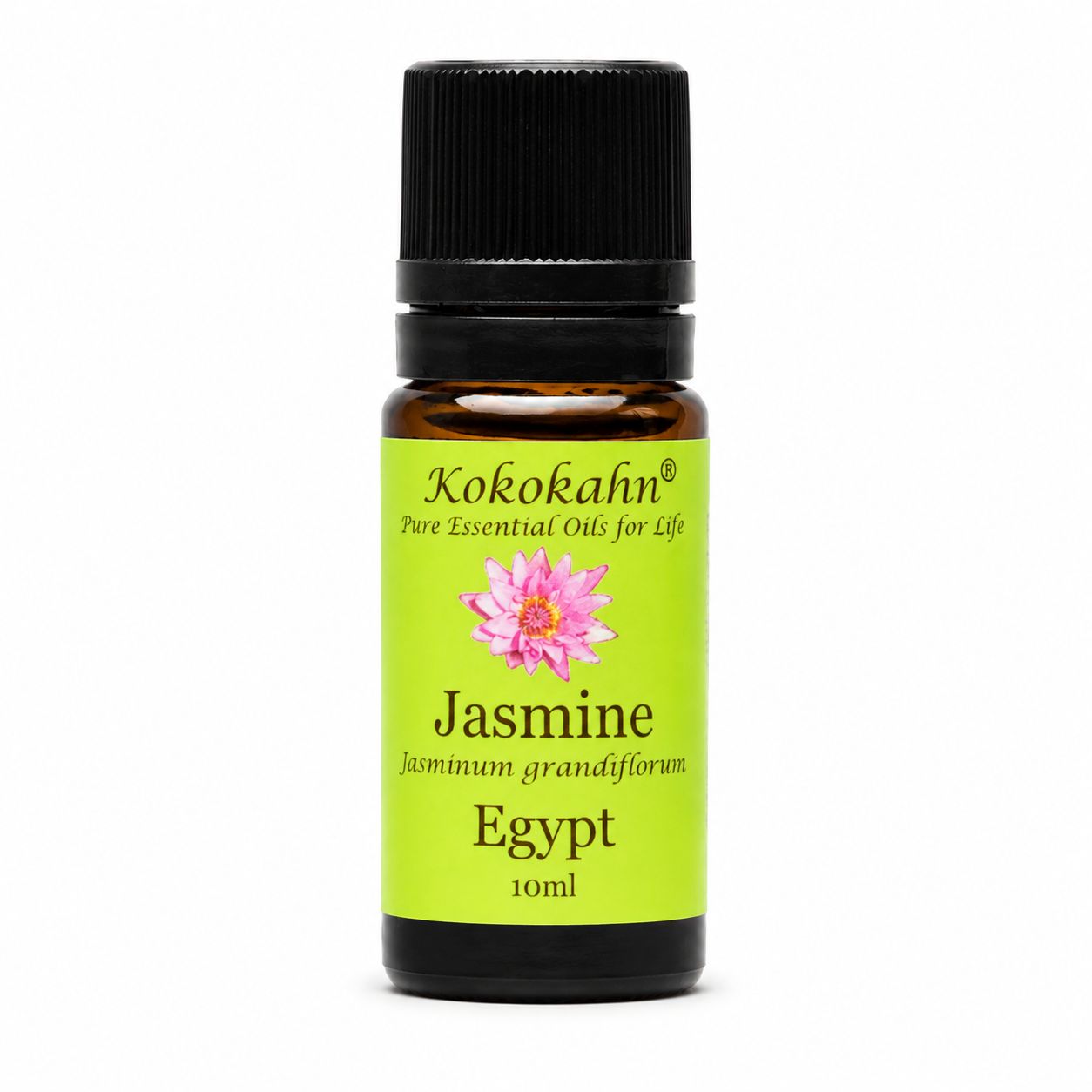 Jasmine Absolute