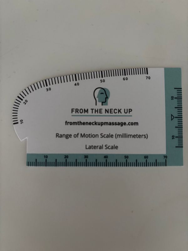 Dental Ruler (50 units)