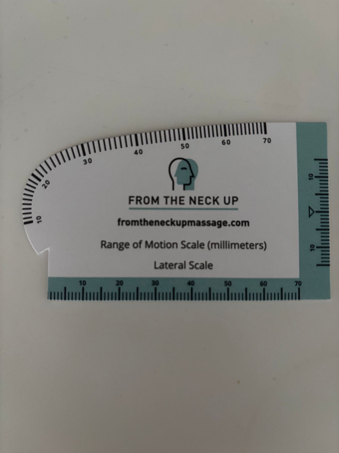 Dental Ruler (50 units)