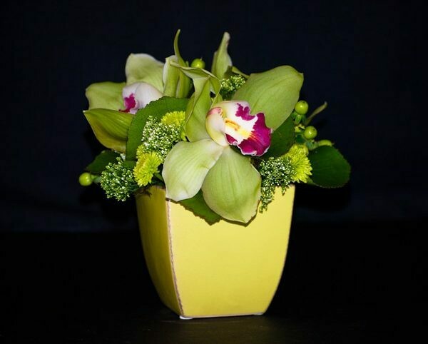 Cymbidium Orchid Arrangement in a Container