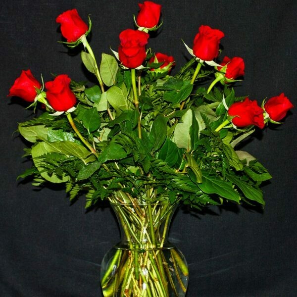 1 Dozen  Red Premium Roses