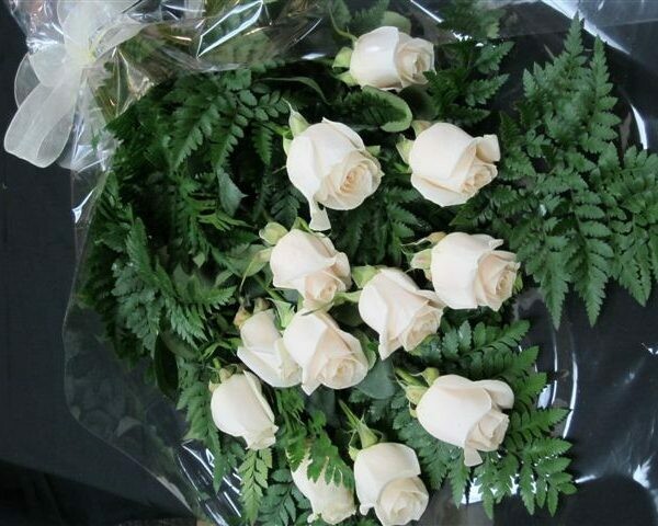 1 Dozen Roses in Cello