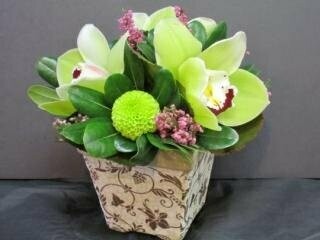 Orchid Arrangement in a Container