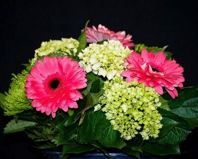 Mixed Flowers with Green Hydrangeas in a Vase