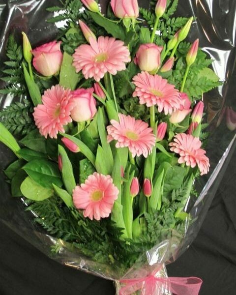 Spring Like Flowers in Cello